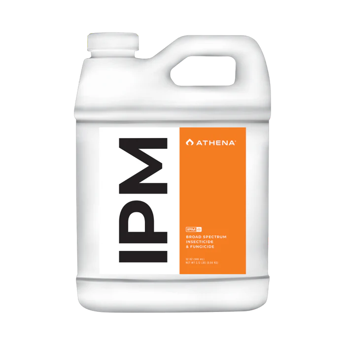 Athena - IPM - Image 6