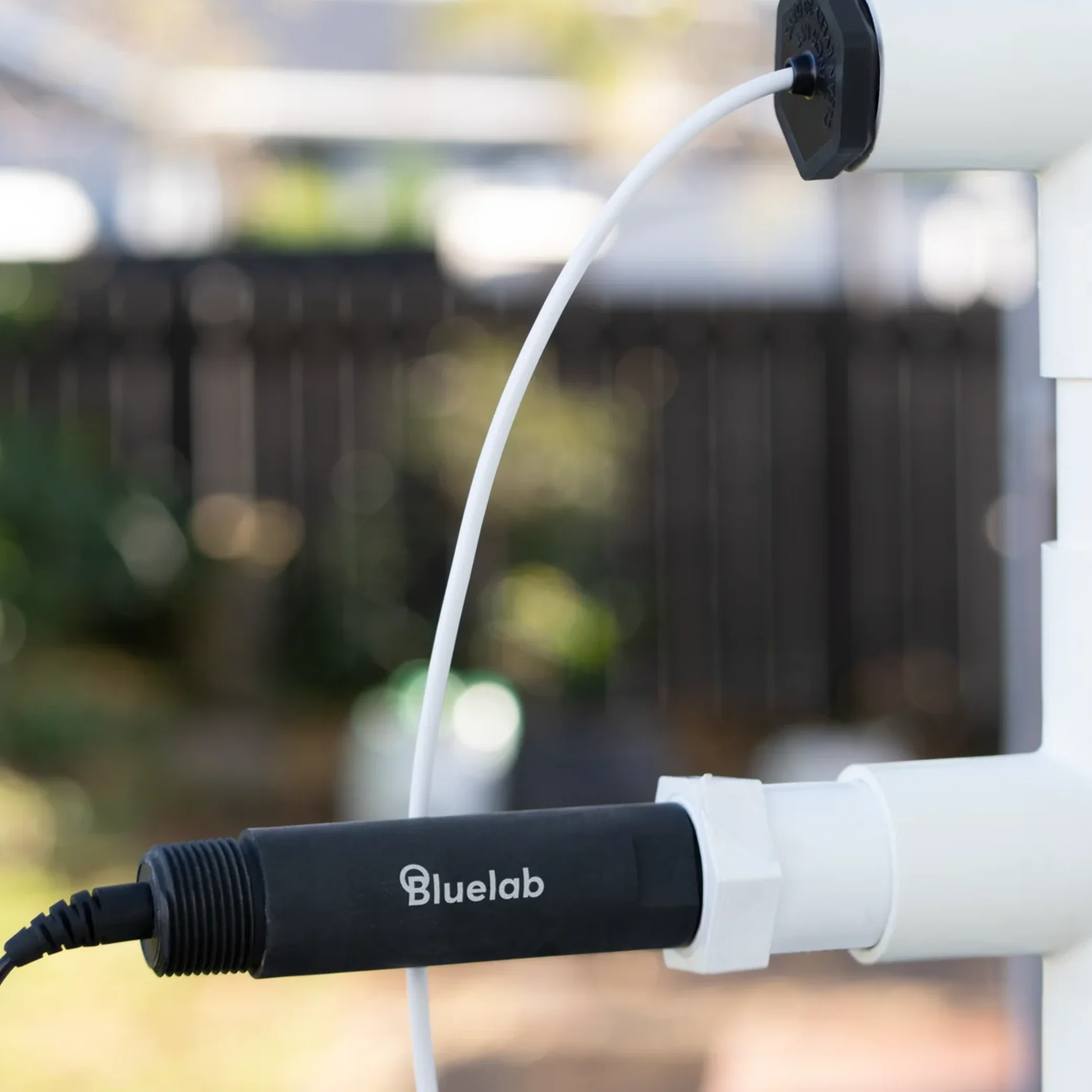 Bluelab Inline pH Probe (Replacement Probe Guardian Monitor Connect In-Line) - Image 3