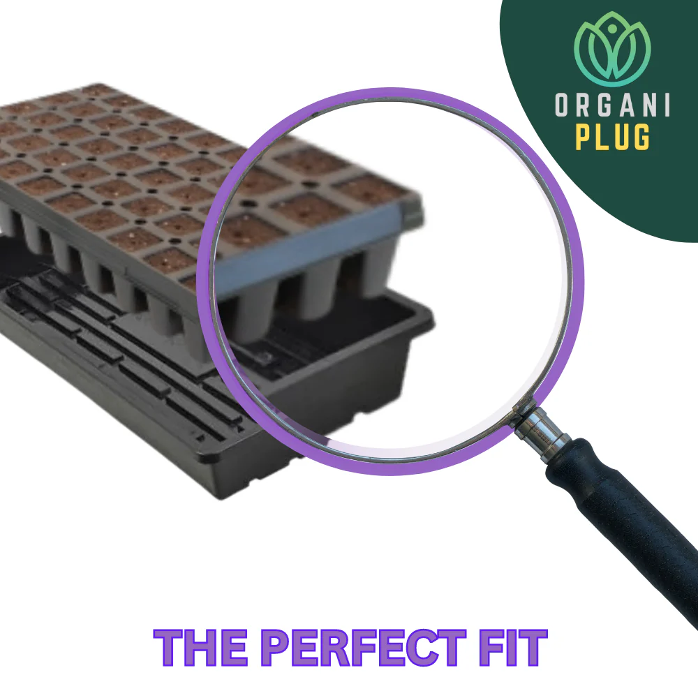 OrganiPlug Seed & Cutting Plugs - Pre-Filled Tray w/ 50 Tall Plugs - Single, Case, and Pallet - Image 18