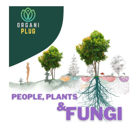 Ventana Plant Science OrganiPlug Seed & Cutting Plugs - Image 7